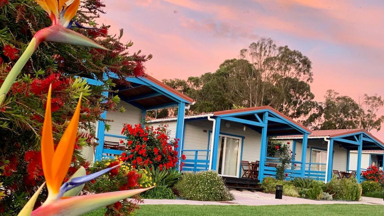 Costa Do Vizir Beach Village Porto Covo Ngoại thất bức ảnh